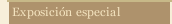 Exposición especial